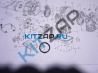 ������ ��������������