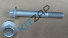 ���� ������������